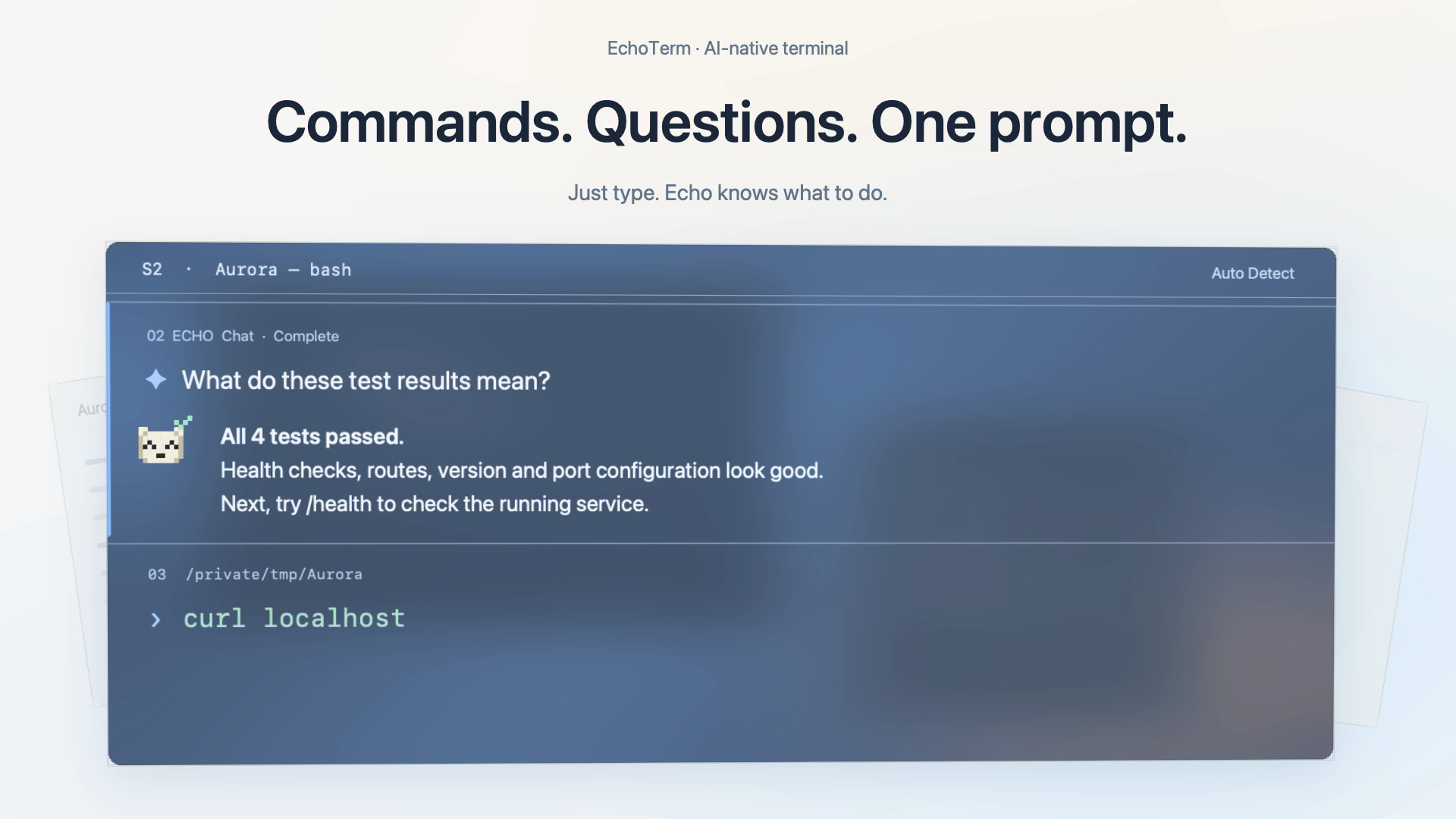 EchoTerm showing a command and an AI response in the same terminal
